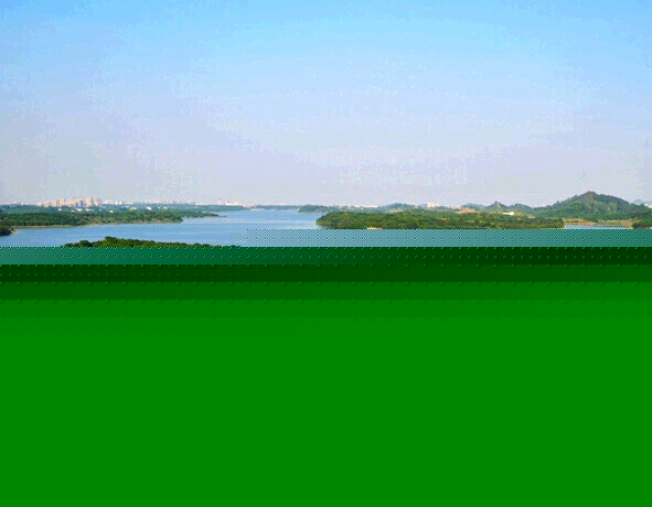 東莞松山湖野戰(zhàn)松湖花?；?  height=